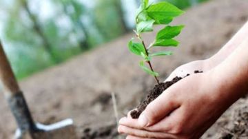 عيد الشجرة: تنظيم يوم للتشجير الأحد القادم بالمنزه 9 بالعاصمة