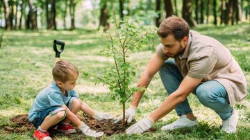 صفاقس تحتفي بالعيد الوطني للشجرة... 150 ألف شتلة لموسم التشجير صفاقس تحتفي بالعيد الوطني للشجرة... 150 ألف شتلة لموسم التشجير