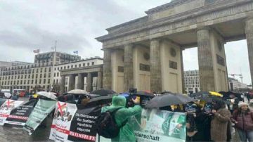 مظاهرة حاشدة في ألمانيا و سويسرا للمطالبة بتصنيف الإخوان منظمة إرهابية مظاهرة حاشدة في ألمانيا و سويسرا للمطالبة بتصنيف الإخوان منظمة إرهابية