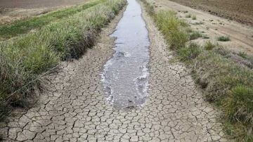 بن عروس: اختيار مشروع الكشف والقضاء على الملوثات الطارئة في محطات المعالجة ضمن برنامج تشجيع التميز العلمي لسنة 2025 بن عروس: اختيار مشروع الكشف والقضاء على الملوثات الطارئة في محطات المعالجة ضمن برنامج تشجيع التميز العلمي لسنة 2025