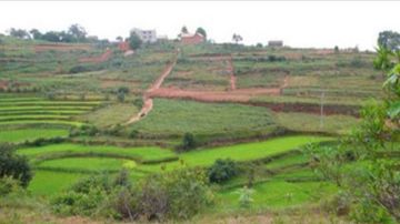 بنزرت: استرجاع عقار دولي فلاحي يمسح 7 هكتارات بمعتمدية راس الجبل