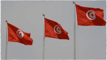 بعد سفير الاتحاد الأوروبي.. تونس توجه احتجاجا شديد اللهجة لسفيرة هولندا بعد سفير الاتحاد الأوروبي.. تونس توجه احتجاجا شديد اللهجة لسفيرة هولندا