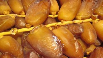 قبلي: ارتفاع حجم الانتاج الجملي للتمور البيولوجية خلال الموسم الحالي