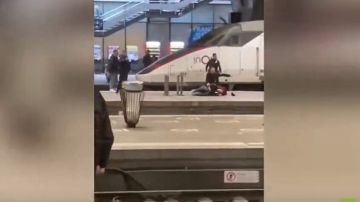 فرنسا.. مقتل مسلح بسكين في محطة قطارات مونبارناس بباريس