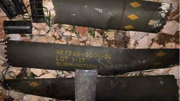 تقارير غربية...إسرائيل استخدمت أسلحة محرمة دوليا في لبنان تقارير غربية...إسرائيل استخدمت أسلحة محرمة دوليا في لبنان