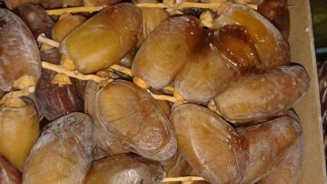 العاصمة.. عمليات بيع التمور من المنتج الى المستهلك تتواصل الى 7 ديسمبر العاصمة.. عمليات بيع التمور من المنتج الى المستهلك تتواصل الى 7 ديسمبر