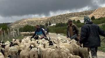 وزارة الفلاحة توصي الفلاحين بأخذ الإحتياطات اللازمة تحسبا للتقلبات الجوية