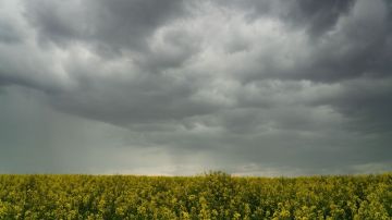 طقس اليوم: مغيم جزئيا بأغلب المناطق