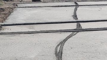 المجلس المحلي بجندوبة الشمالية يطالب بالتصدي للمخربين المجلس المحلي بجندوبة الشمالية يطالب بالتصدي للمخربين