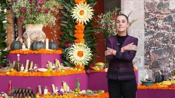 أمام الكاميرات.. كيف تم التحرش برئيسة المكسيك كلاوديا شينباوم؟ (فيديو)