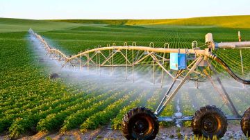 بنزرت ... تأخر توفير الأسمدة يثير حيرة المزارعين