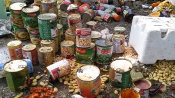 هيئة السلامة الصحية تحجز 68 طنا من المواد الفاسدة وتغلق عدد من المحلات والمطاعم هيئة السلامة الصحية تحجز 68 طنا من المواد الفاسدة وتغلق عدد من المحلات والمطاعم