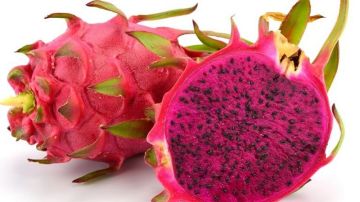 قرمبالية تحتضن الدورة الأولى لمهرجان فاكهة التنين بالحديقة العمومية 