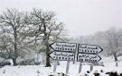 جندوبة: تساقط الثلوج بمرتفعات عين دراهم وغار الدماء