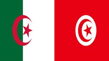 تونس تشارك في الدورة الرابعة للمؤتمر الإفريقي للمؤسسات الناشئة بالجزائر تونس تشارك في الدورة الرابعة للمؤتمر الإفريقي للمؤسسات الناشئة بالجزائر