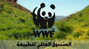 الصندوق العالمي للطبيعة يدعو إلى المشاركة في حماية المناخ الصندوق العالمي للطبيعة يدعو إلى المشاركة في حماية المناخ