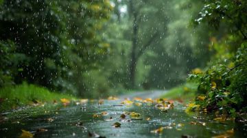 حالة الطقس والوضع الجوي لغاية الأحد 4 جانفي 2026