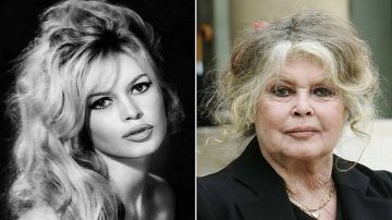 وفاة الممثلة الفرنسية بريجيت باردو عن عمر يناهز 91 عاما