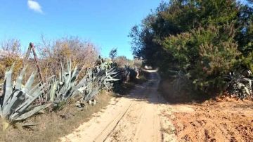 بوعرقوب عمادة برج حفيظ .. مشاريع معطلة... ومعاناة الأهالي مستمرة بوعرقوب عمادة برج حفيظ .. مشاريع معطلة... ومعاناة الأهالي مستمرة