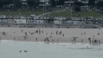 10 قتلى بإطلاق النار على تجمع يهودي في أستراليا 10 قتلى بإطلاق النار على تجمع يهودي في أستراليا