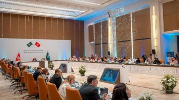 حوالي 40 بالمائة من المساحة المحترثة مخصصة للزياتين وتونس تساهم عالميا بـ30 بالمائة من التمور حوالي 40 بالمائة من المساحة المحترثة مخصصة للزياتين وتونس تساهم عالميا بـ30 بالمائة من التمور