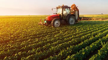 بداية الليالي البيض 