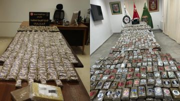 الداخلية.. تفكيك شبكة دولية لترويج المخدرات وحجز كميات كبيرة من الكوكايين و الزطلة والحبوب المخدرة