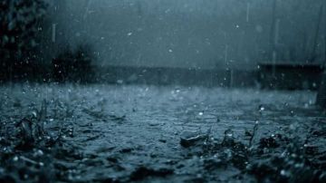 الليلة: أمطار غزيرة بهذه المناطق الليلة: أمطار غزيرة بهذه المناطق