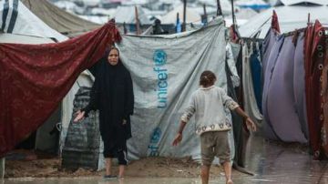 بينهم أطفال.. 17 وفاة نتيجة البرد القارس في غزة بينهم أطفال.. 17 وفاة نتيجة البرد القارس في غزة