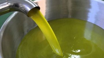 وزارة الفلاحة.. انطلاق برنامج تخزين زيت الزيتون وزارة الفلاحة.. انطلاق برنامج تخزين زيت الزيتون