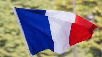 أول تعليق فرنسي على قانون تجريم الاستعمار في الجزائر أول تعليق فرنسي على قانون تجريم الاستعمار في الجزائر