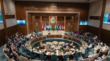 لإحباط مخطط تهجير الفلسطينيين .. الصومال تستنجد بالدول العربية ضد الاحتلال