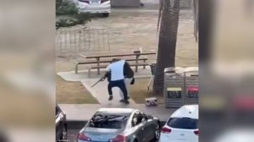 تصدى لمنفذي هجوم سيدني.. من هو أحمد الأحمد؟