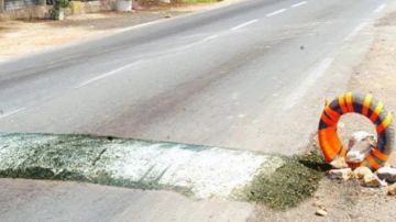 قابس: دعوة إلى ازالة مخفظات السرعة العشوائية قابس: دعوة إلى ازالة مخفظات السرعة العشوائية