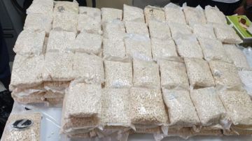 في عملية تهريب غريبة في مطار تونس قرطاج .. 7 أفارقة يبتلعــــــون 9 كيلوغرامات من الكوكايين