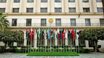 الصومال يوجه طلبا عاجلا للجامعة العربية