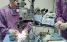 القصرين: نجاح أول عملية زرع قرنية بالمستشفى الجامعي بدر الدين العلوي - tn