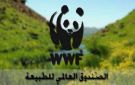 الصندوق العالمي للطبيعة يدعو إلى المشاركة في حماية المناخ