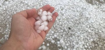 الكاف: المساحات المتضررة جراء تساقط البرد في حدود 10 آلاف هكتار من جملة 160 الف هكتارا