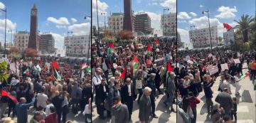 دعوة للمشاركة بكثافة ليوم التونسي لتجريم التطبيع (أكثر تفاصيل فيديو) دعوة للمشاركة بكثافة ليوم التونسي لتجريم التطبيع (أكثر تفاصيل فيديو)