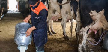 التدابير العملية لتخفيف الأثار السلبية للإجهاد الحراري على إنتاجية وصحة الحيوان