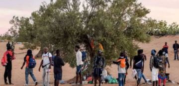 الهجرة غير النظامية عبد الكبير: النقل من هنشير إلى هنشير تقدم في طريق مسدود الهجرة غير النظامية عبد الكبير: النقل من هنشير إلى هنشير تقدم في طريق مسدود