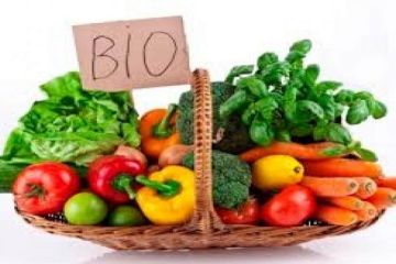 منظمة الأعراف تحتضن فعاليات الدورة 15 للصالون الدولي للفلاحة البيولوجية والصناعات الغذائية منظمة الأعراف تحتضن فعاليات الدورة 15 للصالون الدولي للفلاحة البيولوجية والصناعات الغذائية