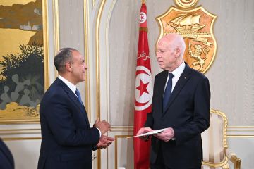 وزير خارجية مصر يسلم رئيس تونس رسالة من السيسي ويستعرضان تحركات دعم إعمار غزة