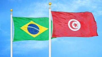 مركز النهوض بالصادرات: تونس خامس أكبر مزود للبرازيل من زيت الزيتون