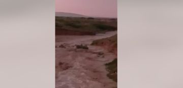 المرصد التونسي للطقس و المناخ: فيديو حول الأمطار الغزيرة بالكاف