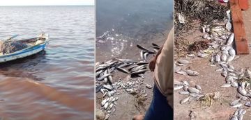 خليج المنستير: كارثة بيئية و وزارة الفلاحة تحذر (فيديو و صور)