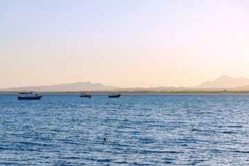 تونس.. العثور على جثة الطفلة مريم في عرض البحر بمدينة بني خيار الساحلية تونس.. العثور على جثة الطفلة مريم في عرض البحر بمدينة بني خيار الساحلية