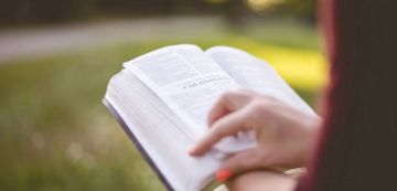 الصيف من لذة القراءة إلى غواية الرحيل الصيف من لذة القراءة إلى غواية الرحيل