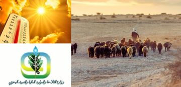 حماية للثروة الحيوانية في ظل موجة الحرارة الاستثنائية، وزارة الفلاحة على الخط 